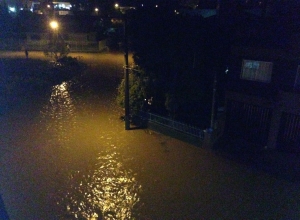 foto12