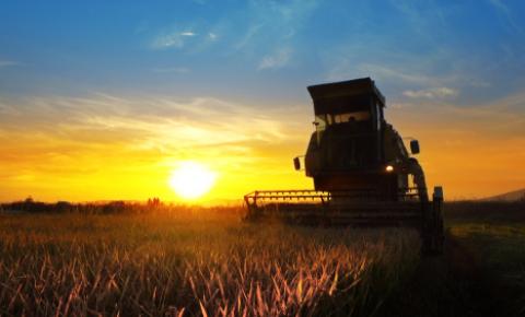 Como a tecnologia contribui para a produtividade e inovação do agronegócio