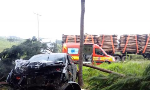 Saída de pista envolvendo um veículo com placas de Caçador