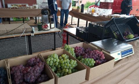 Feira da Agricultura Familiar de Fraiburgo chega a sua 12º Edição