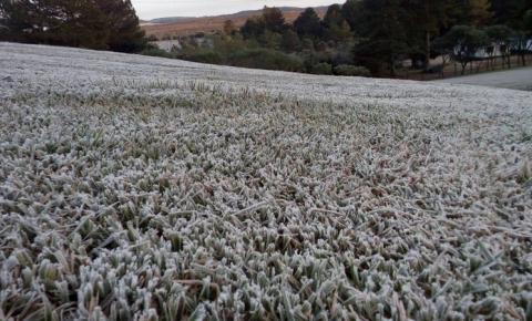 Frio fica mais intenso e Lebon Régis SC  registra nesta madrugada -3,2