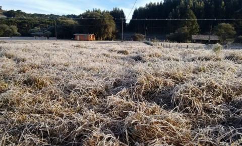 Mais Uma Madrugada fria em Lebon Régis que registra  -3,6°C 