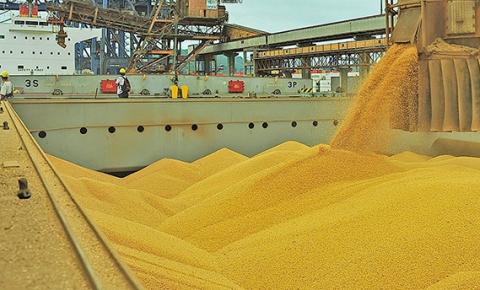Exportações brasileiras de soja e farelo de soja aumentaram em maio