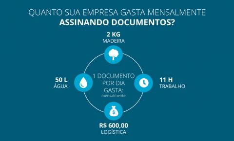 Sustentabilidade e economia no escritório: soluções para o mundo de hoje