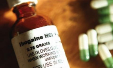 Tratamento contra as Drogas: a Ibogaína e seus efeitos