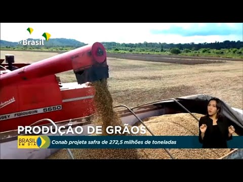 Conab projeta safra de 272,5 milhões de toneladas