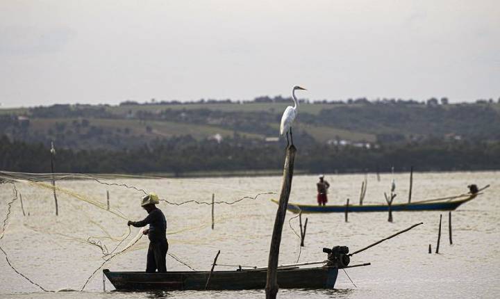 Gestão do seguro-defeso passa oficialmente ao Ministério do Trabalho 